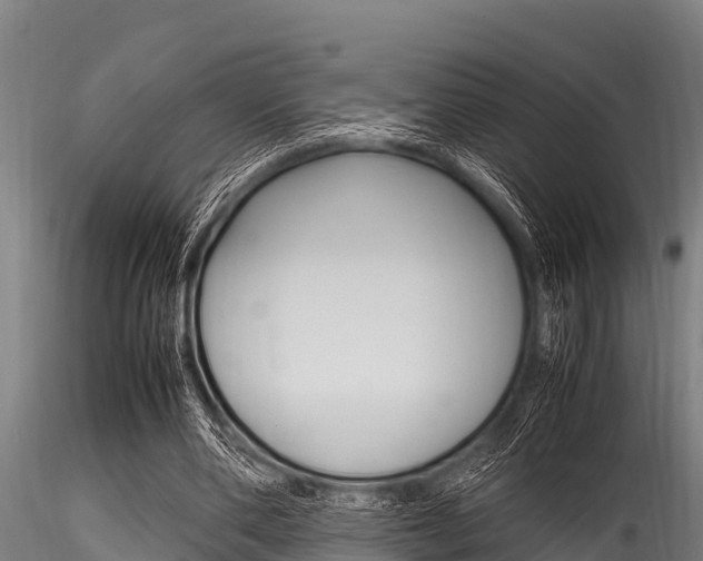 X0000116270486200911301020