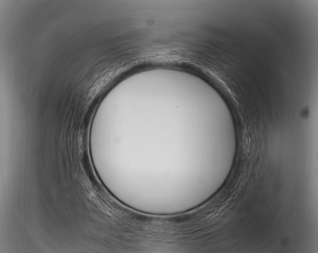X0000116270487200911301020