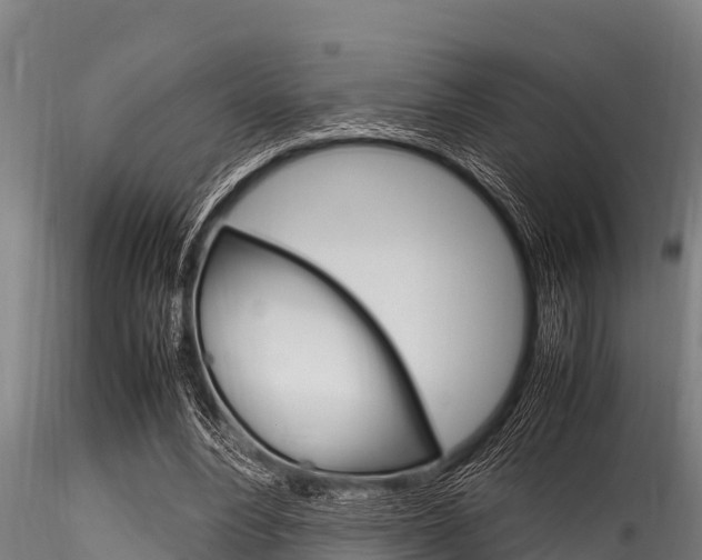 X0000116270488200911301020
