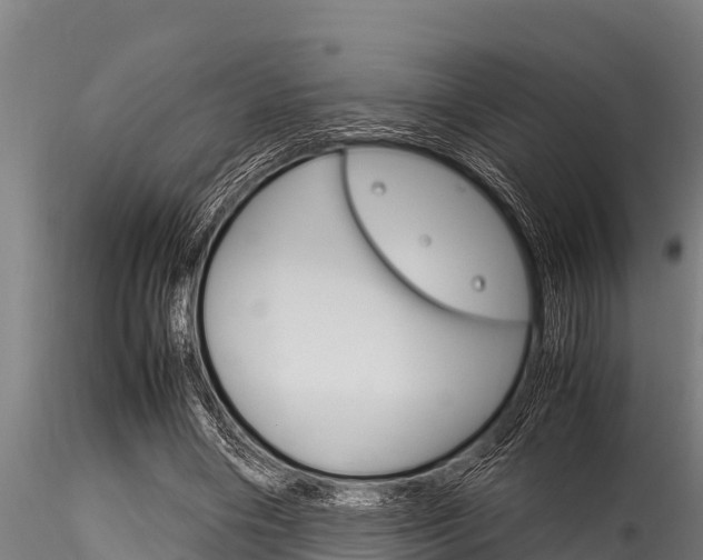 X0000116270490200911301020