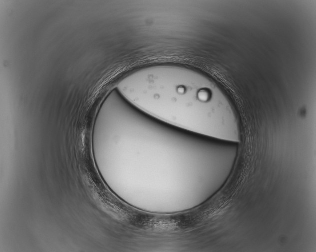 X0000116270491200911301020