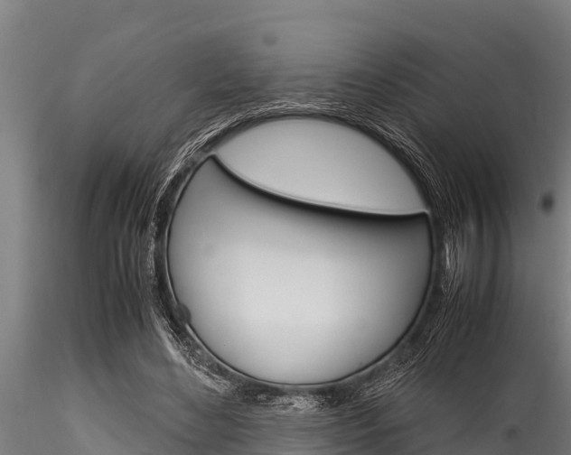 X0000116270492200911301020