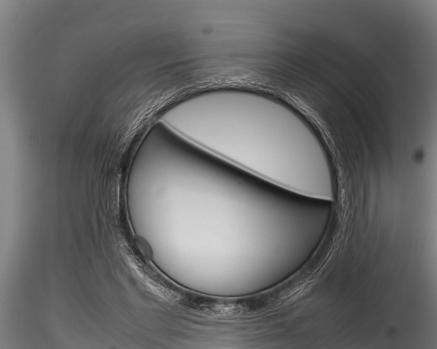 X0000116270493200911301020