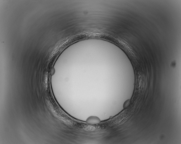 X0000116270494200911301020