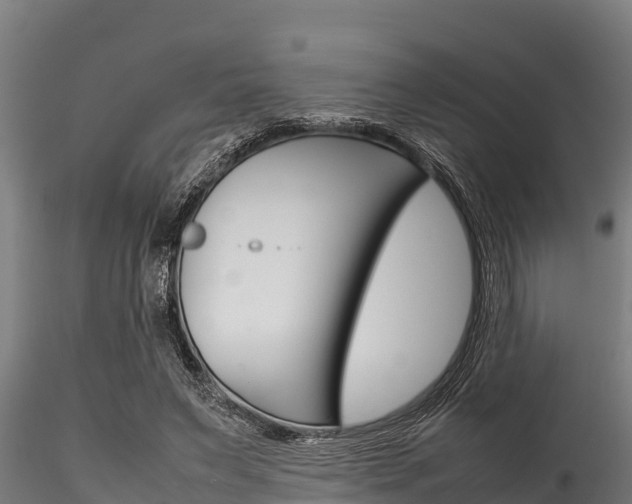 X0000116270495200911301020