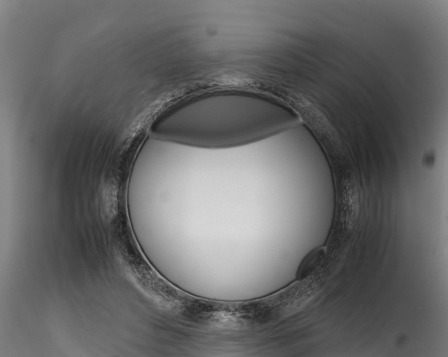 X0000116270496200911301020