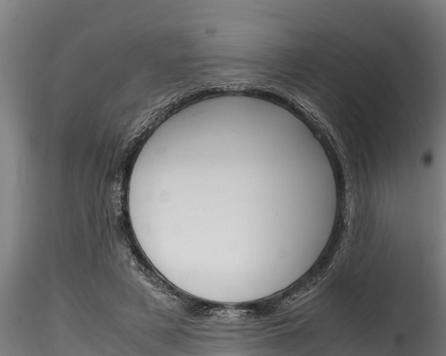 X0000116270497200911301020