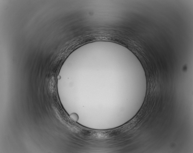 X0000116270498200911301020