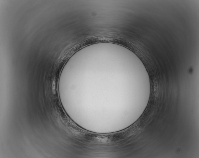 X0000116270502200911301020