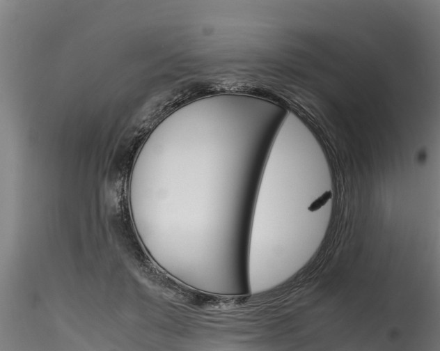 X0000116270503200911301020