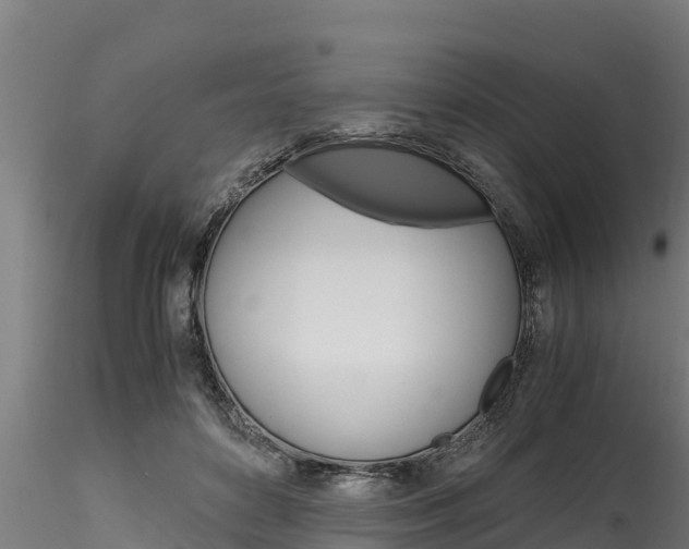 X0000116270504200911301020
