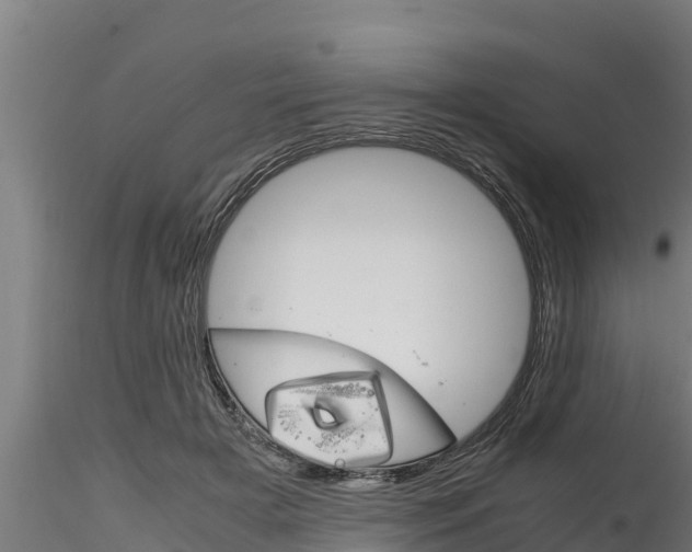 X0000116270505200911301020