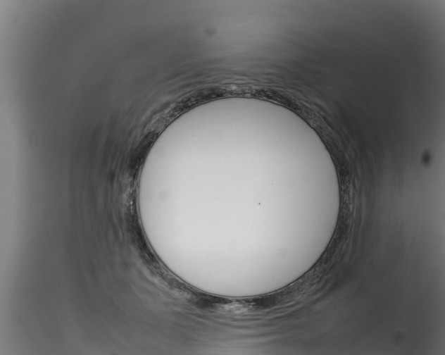 X0000116270511200911301020
