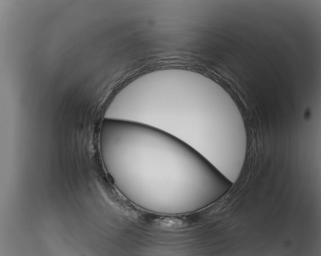 X0000116270512200911301020