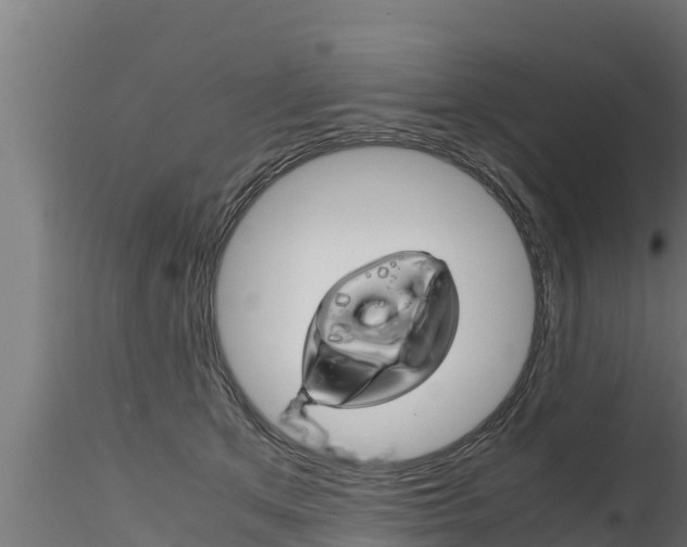 X0000116270513200911301020