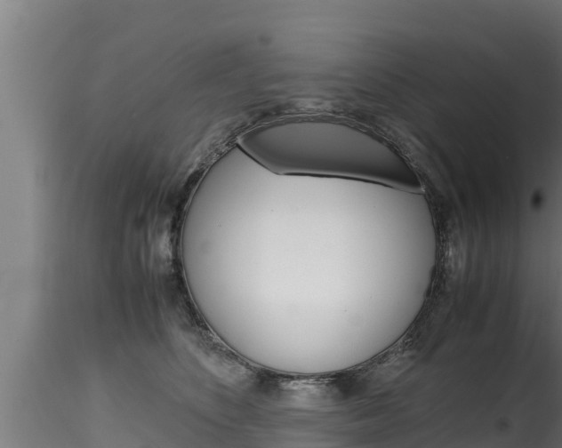 X0000116270516200911301020