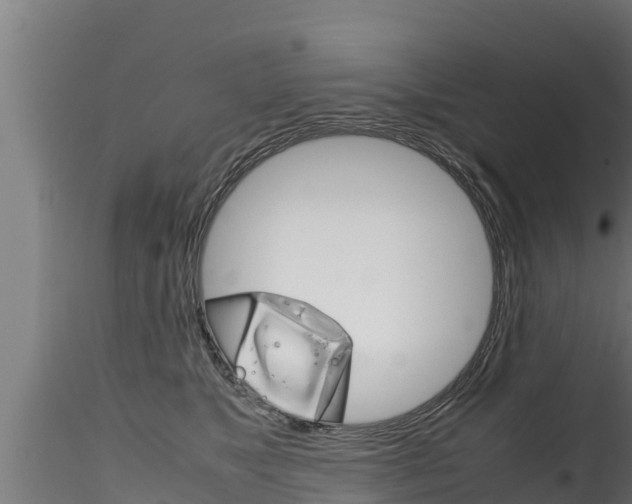 X0000116270517200911301019