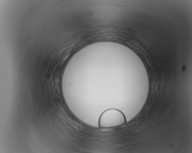 X0000116270520200911301019