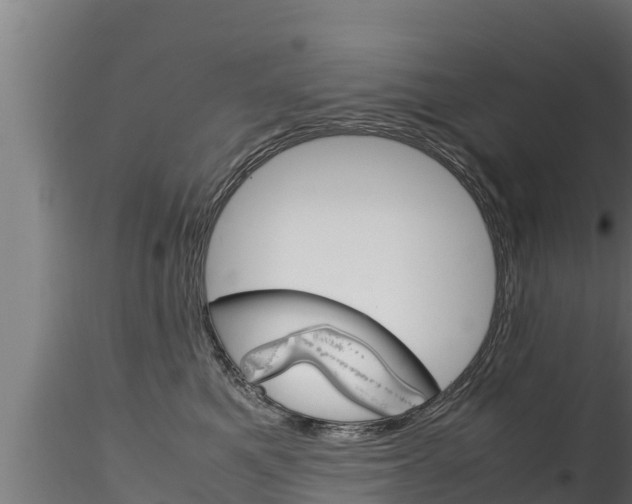 X0000116270521200911301019