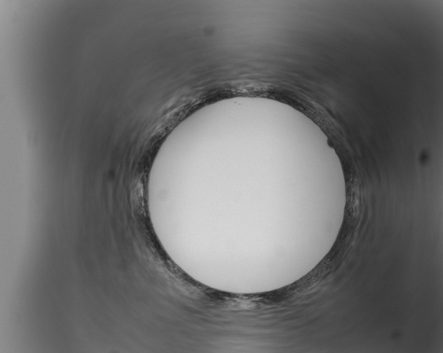 X0000116270523200911301019