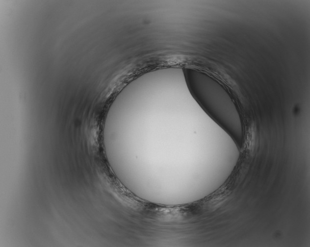 X0000116270524200911301019