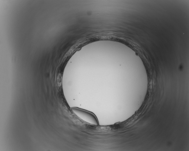 X0000116270525200911301019