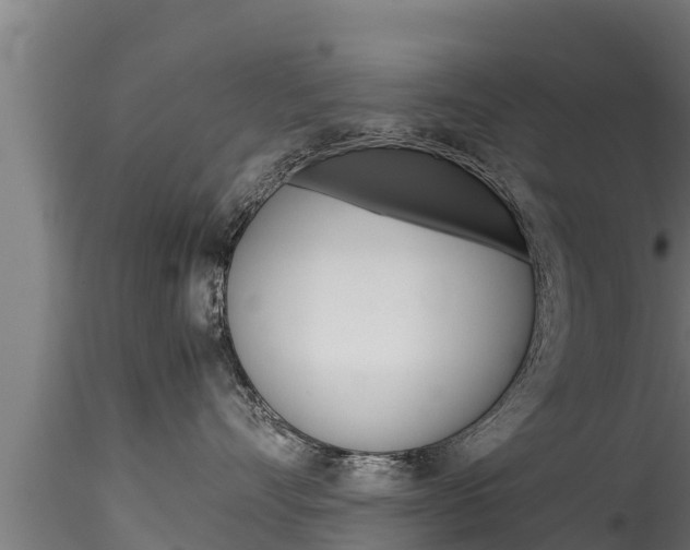 X0000116270528200911301019