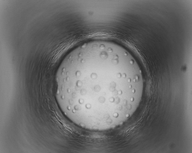 X0000116270529200911301019