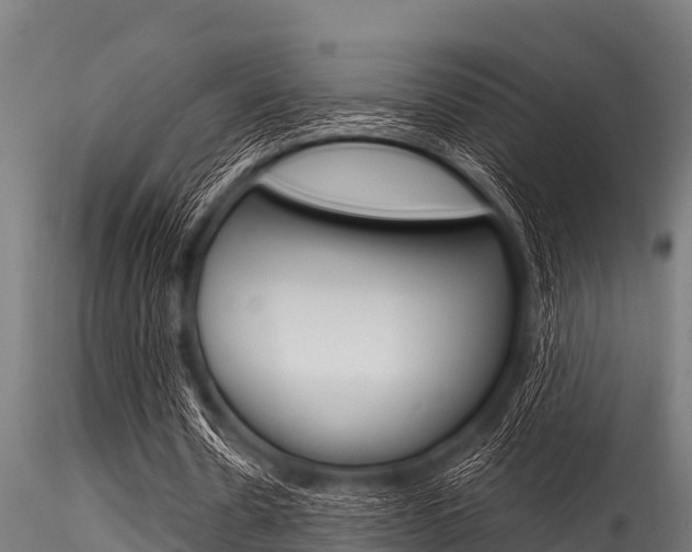 X0000116270530200911301019