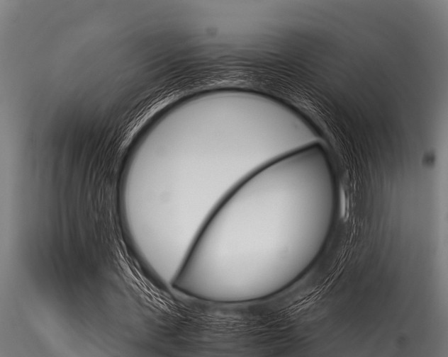 X0000116270531200911301019