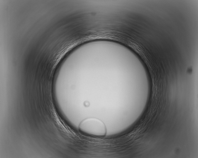 X0000116270534200911301019