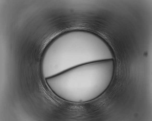 X0000116270535200911301019