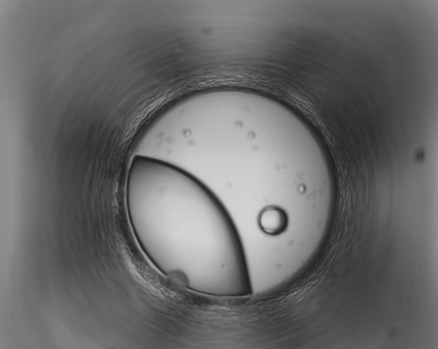 X0000116270538200911301019