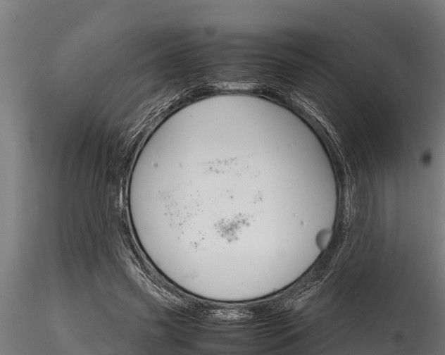 X0000116270541200911301019