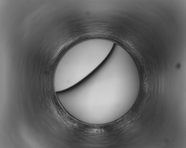 X0000116270543200911301019
