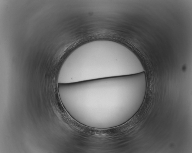 X0000116270547200911301019