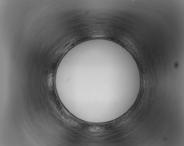 X0000116270549200911301019