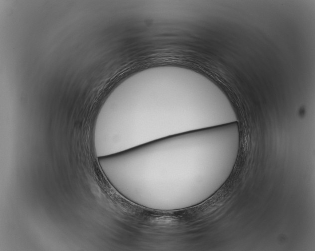 X0000116270551200911301019