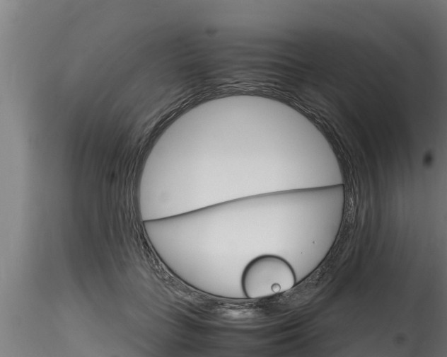 X0000116270555200911301019