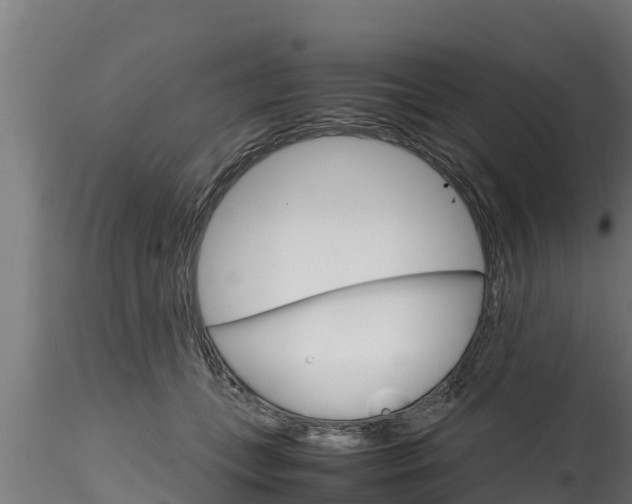 X0000116270559200911301019