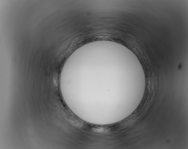 X0000116270561200911301019