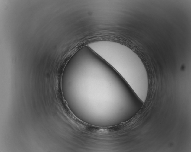 X0000116270562200911301019