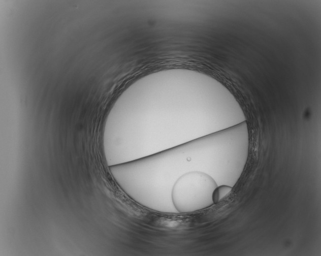 X0000116270563200911301019