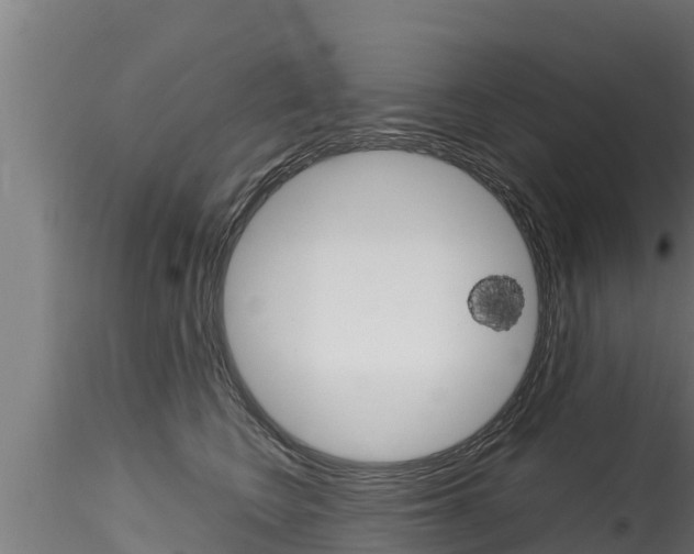X0000116270566200911301019