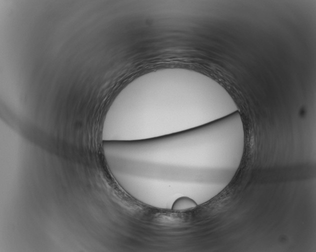 X0000116270567200911301019