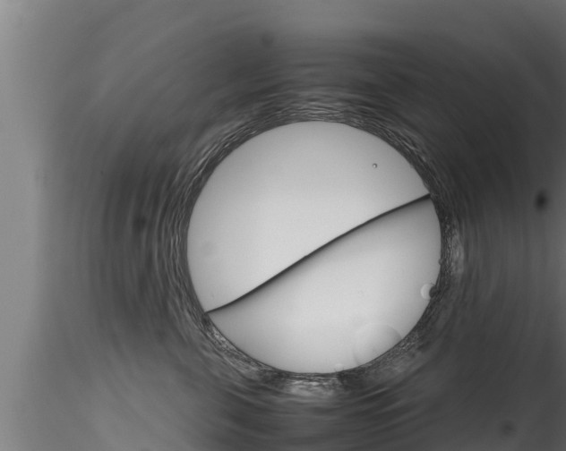 X0000116270571200911301019