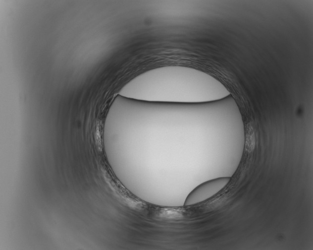 X0000116270573200911301019