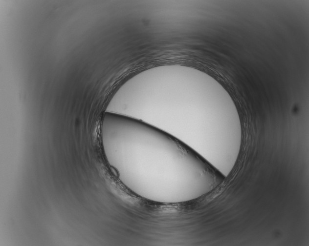 X0000116270574200911301019