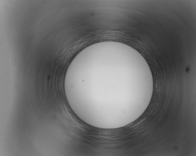 X0000116270575200911301019