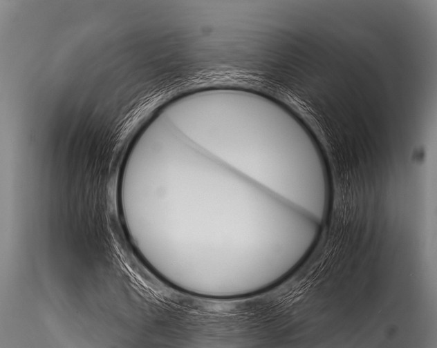 X0000116270578200911301019